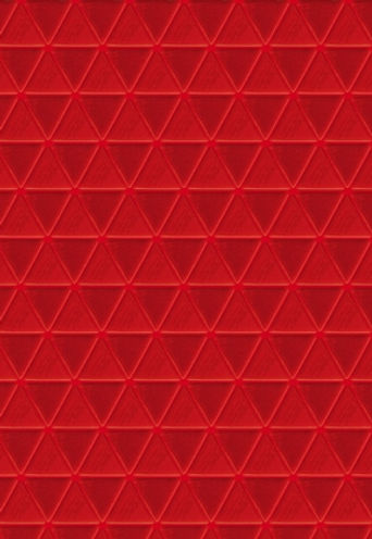 17D JUNTA ROJA